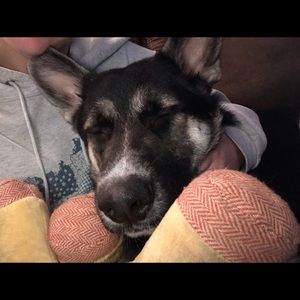 Meet your Posher, Brittney